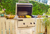 Stand Alone Grills